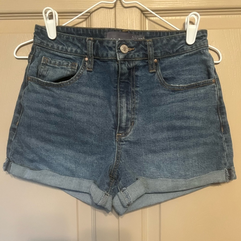 Indigo Rising Blue Jean Shorts for Women